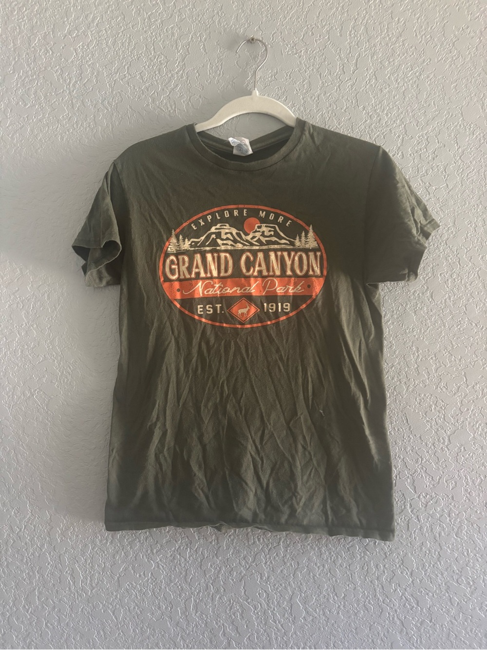 Delta Olive Green Grand Canyon Graphic Tee with Orange Accent
